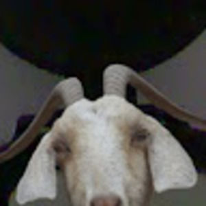 Meet your Posher, Marcus